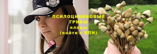spice Абдулино