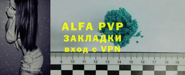 твердый Абаза