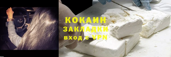 твердый Абаза