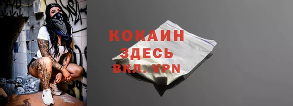 твердый Абаза