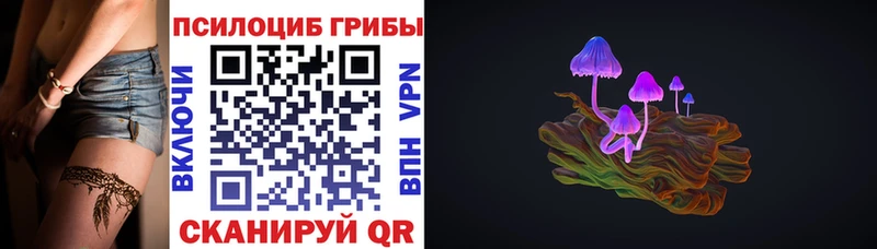 Псилоцибиновые грибы мицелий  Дубна 
